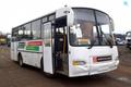Автобус городской среднего класса КАвЗ 4235-32 Аврора купить в Москве